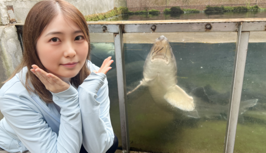 ありのままを見せて、気づいた大切なこと